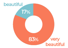 Respondents who answered that the exterior of the piano was very clean or clean after repair: 100%.